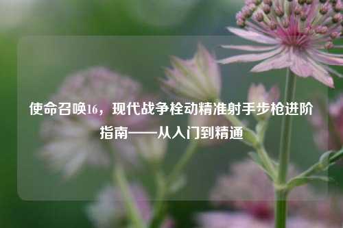 使命召唤16，现代战争栓动精准射手步枪进阶指南——从入门到精通