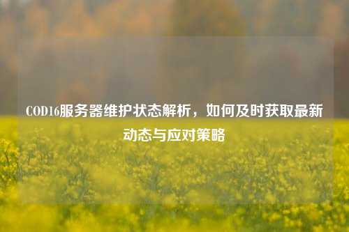 COD16服务器维护状态解析，如何及时获取最新动态与应对策略