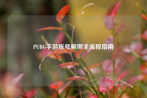 PUBG手游账号解绑全流程指南