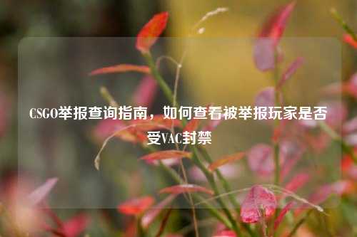 CSGO举报查询指南，如何查看被举报玩家是否受VAC封禁