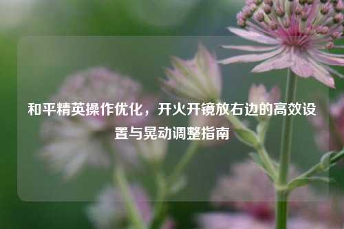和平精英操作优化，开火开镜放右边的高效设置与晃动调整指南