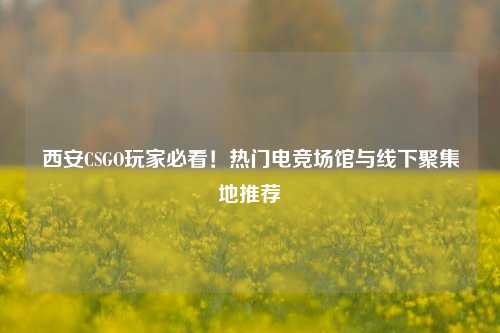 西安CSGO玩家必看！热门电竞场馆与线下聚集地推荐