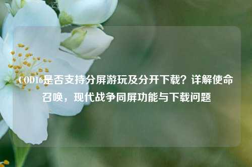 COD16是否支持分屏游玩及分开下载?详解使命召唤,现代战争同屏功能与下载问题