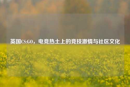 英国CS:GO，电竞热土上的竞技激情与社区文化