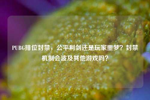 PUBG排位封禁，公平利剑还是玩家噩梦？封禁机制会波及其他游戏吗？
