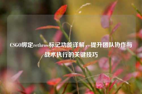 CSGO绑定rethrow标记功能详解，提升团队协作与战术执行的关键技巧
