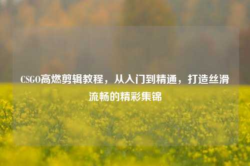 CSGO高燃剪辑教程，从入门到精通，打造丝滑流畅的精彩集锦