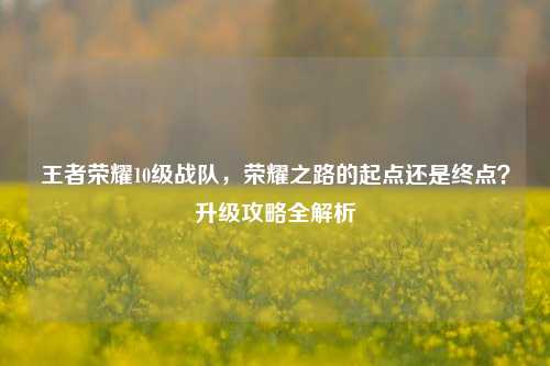 王者荣耀10级战队,荣耀之路的起点还是终点?升级攻略全解析