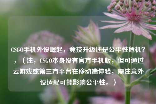 CSGO手机外设崛起,竞技升级还是公平性危机?,(注,CSGO本身没有官方手机版,但可通过云游戏或第三方平台在移动端体验,需注意外设适配可能影响公平性。)