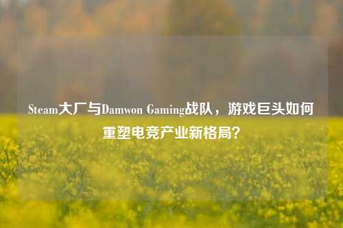 Steam大厂与Damwon Gaming战队，游戏巨头如何重塑电竞产业新格局？