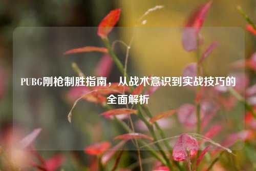 PUBG刚枪制胜指南，从战术意识到实战技巧的全面解析
