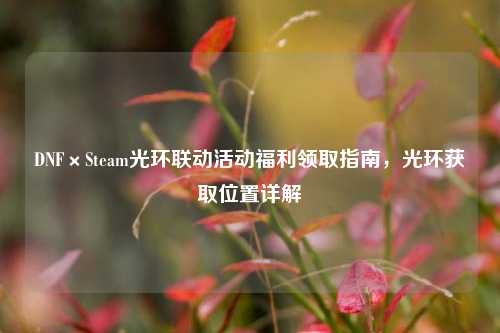DNF×Steam光环联动活动福利领取指南，光环获取位置详解
