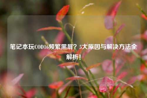 笔记本玩COD16频繁黑屏？5大原因与解决方法全解析！