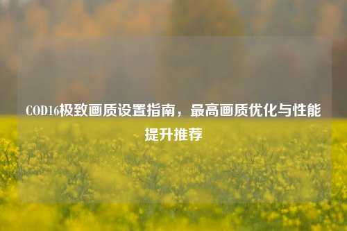 COD16极致画质设置指南,最高画质优化与性能提升推荐