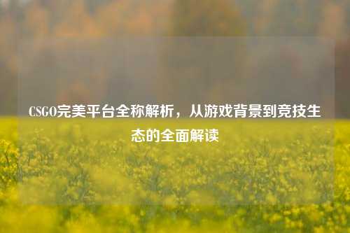 CSGO完美平台全称解析，从游戏背景到竞技生态的全面解读