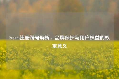 Steam注册符号解析，品牌保护与用户权益的双重意义