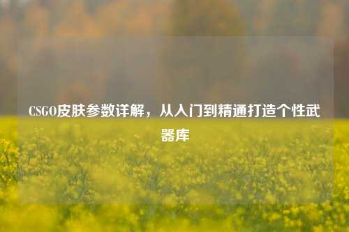 CSGO皮肤参数详解，从入门到精通打造个性武器库