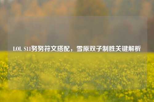LOL S11努努符文搭配，雪原双子制胜关键解析