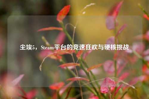 尘埃5,Steam平台的竞速狂欢与硬核挑战