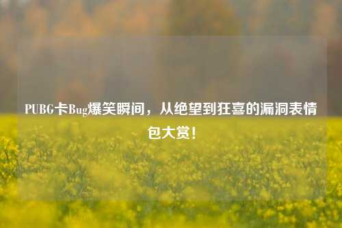 PUBG卡Bug爆笑瞬间，从绝望到狂喜的漏洞表情包大赏！