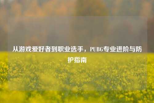 从游戏爱好者到职业选手，PUBG专业进阶与防护指南