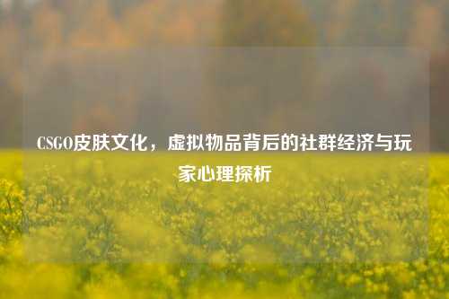 CSGO皮肤文化，虚拟物品背后的社群经济与玩家心理探析