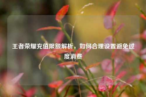 王者荣耀充值限额解析,如何合理设置避免过度消费
