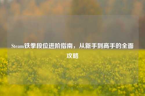 Steam铁拳段位进阶指南，从新手到高手的全面攻略
