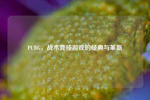 PUBG,战术竞技游戏的经典与革新