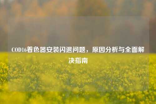 COD16着色器安装闪退问题，原因分析与全面解决指南