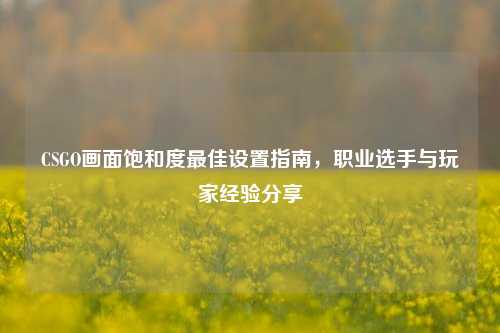 CSGO画面饱和度最佳设置指南，职业选手与玩家经验分享