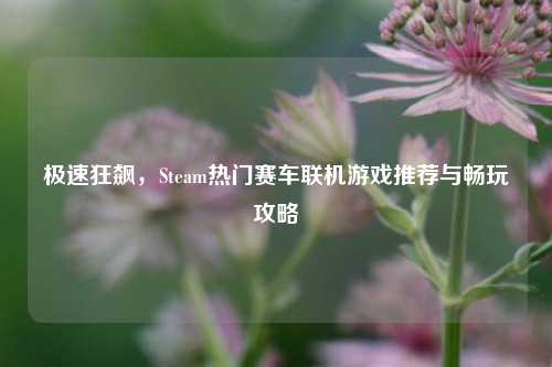 极速狂飙,Steam热门赛车联机游戏推荐与畅玩攻略