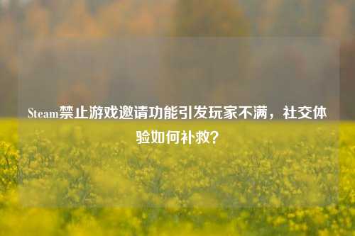 Steam禁止游戏邀请功能引发玩家不满，社交体验如何补救？
