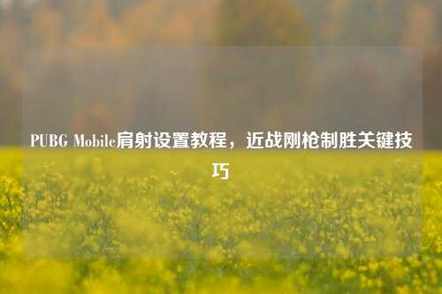 PUBG Mobile肩射设置教程,近战刚枪制胜关键技巧