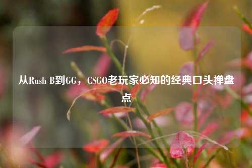 从Rush B到GG，CSGO老玩家必知的经典口头禅盘点