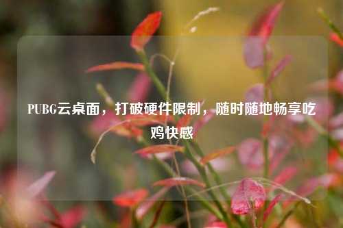 PUBG云桌面,打破硬件限制,随时随地畅享吃鸡快感
