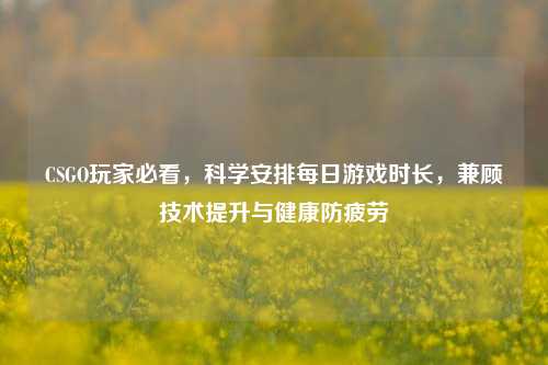 CSGO玩家必看，科学安排每日游戏时长，兼顾技术提升与健康防疲劳