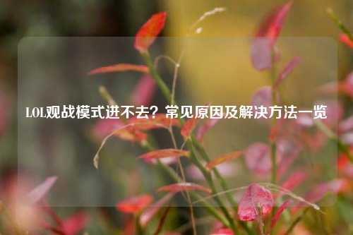LOL观战模式进不去？常见原因及解决方法一览