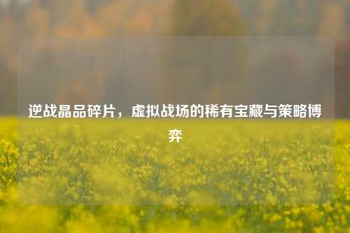 逆战晶品碎片，虚拟战场的稀有宝藏与策略博弈