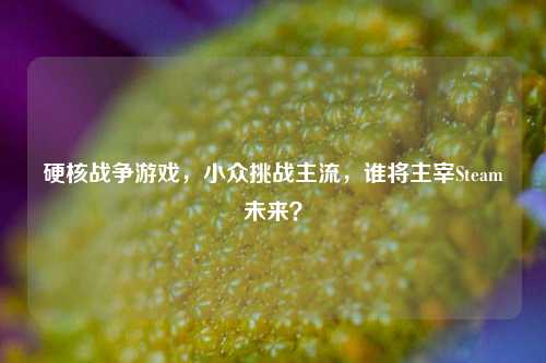 硬核战争游戏,小众挑战主流,谁将主宰Steam未来?
