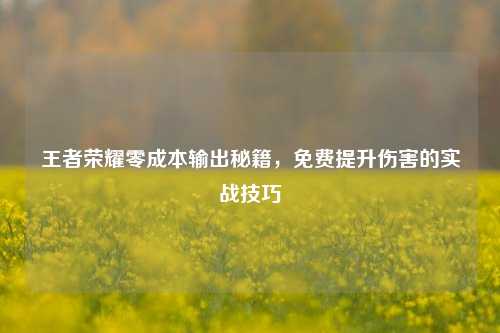 王者荣耀零成本输出秘籍，免费提升伤害的实战技巧