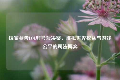 玩家状告LOL封号裁决案，虚拟世界权益与游戏公平的司法博弈