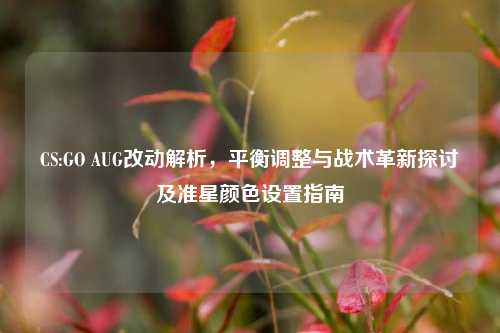 CS:GO AUG改动解析，平衡调整与战术革新探讨及准星颜色设置指南