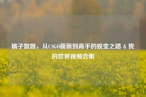 橘子姐姐,从CSGO萌新到高手的蜕变之路 & 我的世界视频合集