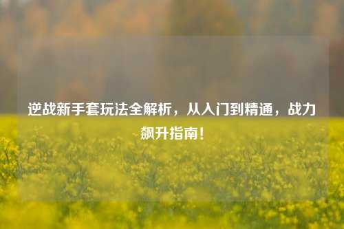 逆战新手套玩法全解析,从入门到精通,战力飙升指南!