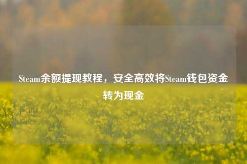 Steam余额提现教程,安全高效将Steam钱包资金转为现金