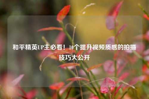 和平精英UP主必看!10个提升视频质感的拍摄技巧大公开