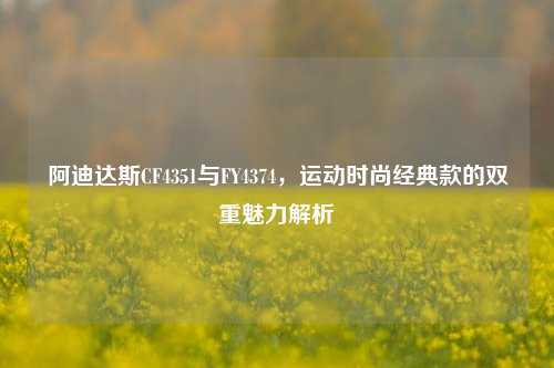 阿迪达斯CF4351与FY4374,运动时尚经典款的双重魅力解析