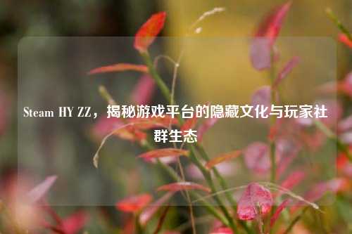 Steam HY ZZ,揭秘游戏平台的隐藏文化与玩家社群生态