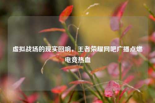 虚拟战场的现实回响，王者荣耀网吧广播点燃电竞热血